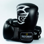 Training MMA Grant Box Gloves