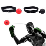 Boxing Fight Speed Ball