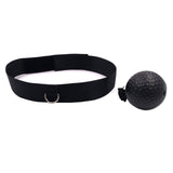 Boxing Fight Speed Ball