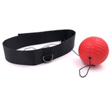 Boxing Fight Speed Ball